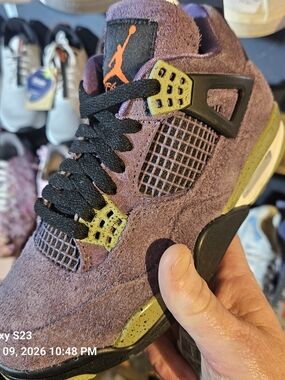 Jordan 4 Canyon Purple